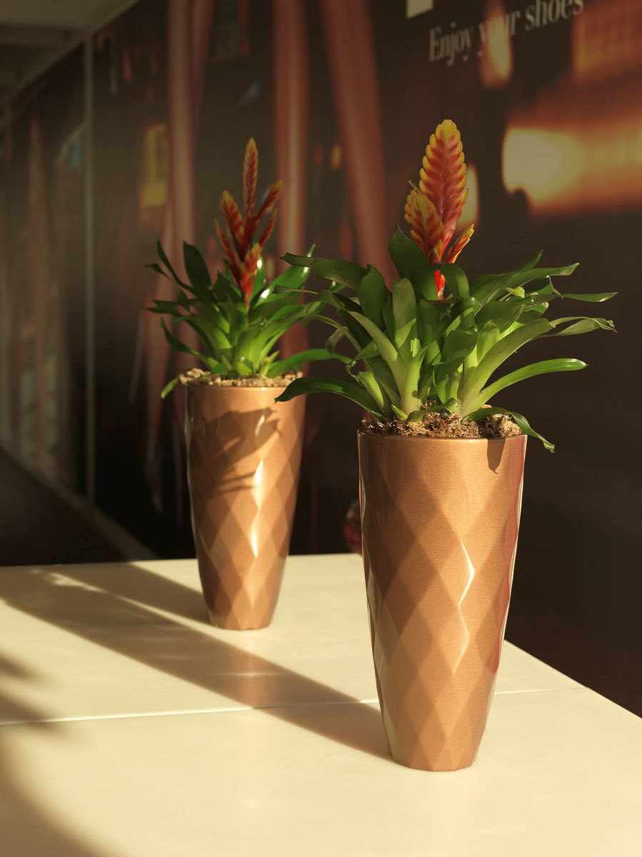Vases Planter Tall